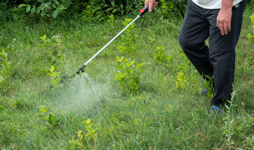 LAWN TREATMENT