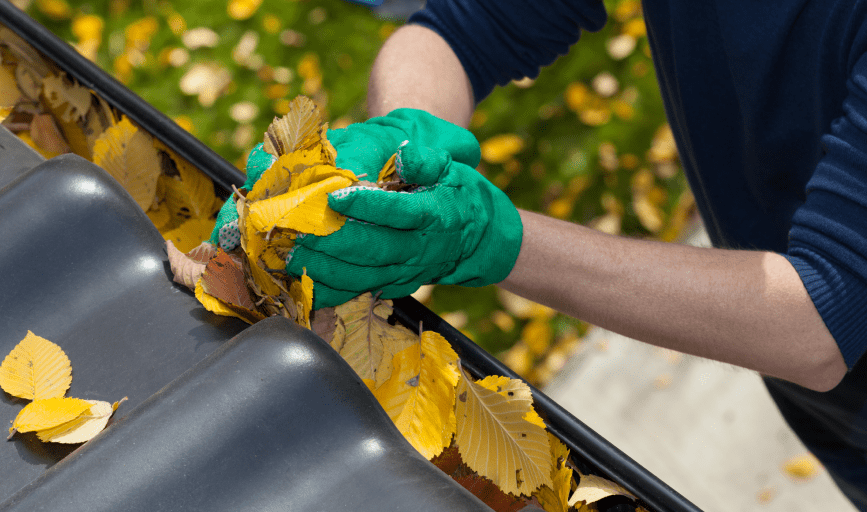 GUTTER CLEANING